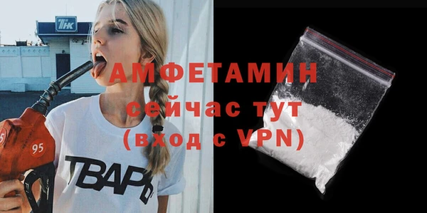 сатива Балахна