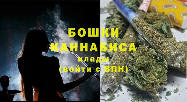 сатива Балахна