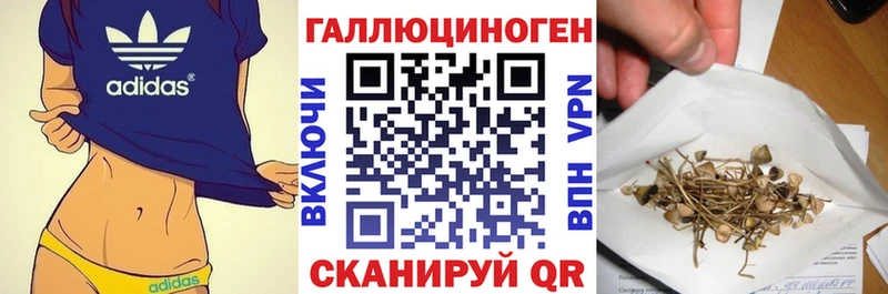 Псилоцибиновые грибы Cubensis  Ужур 